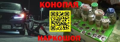 гашик Дубна