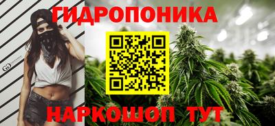 гашик Дубна