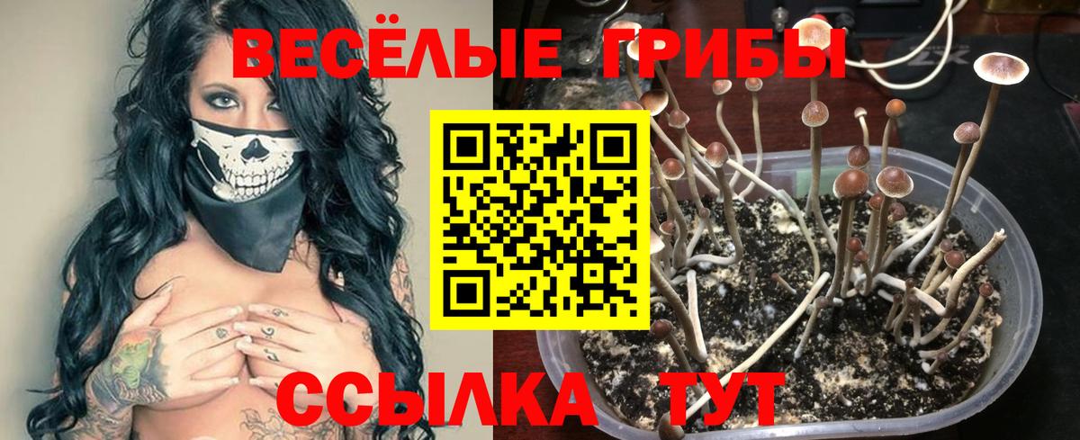 Галлюциногенные грибы ЛСД  Псилоцибиновые грибы мицелий  Вход с VPN  Миасс 